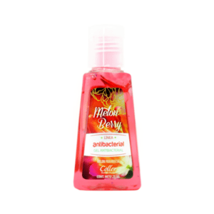 Gel Antibacterial Melon Berry 29ml